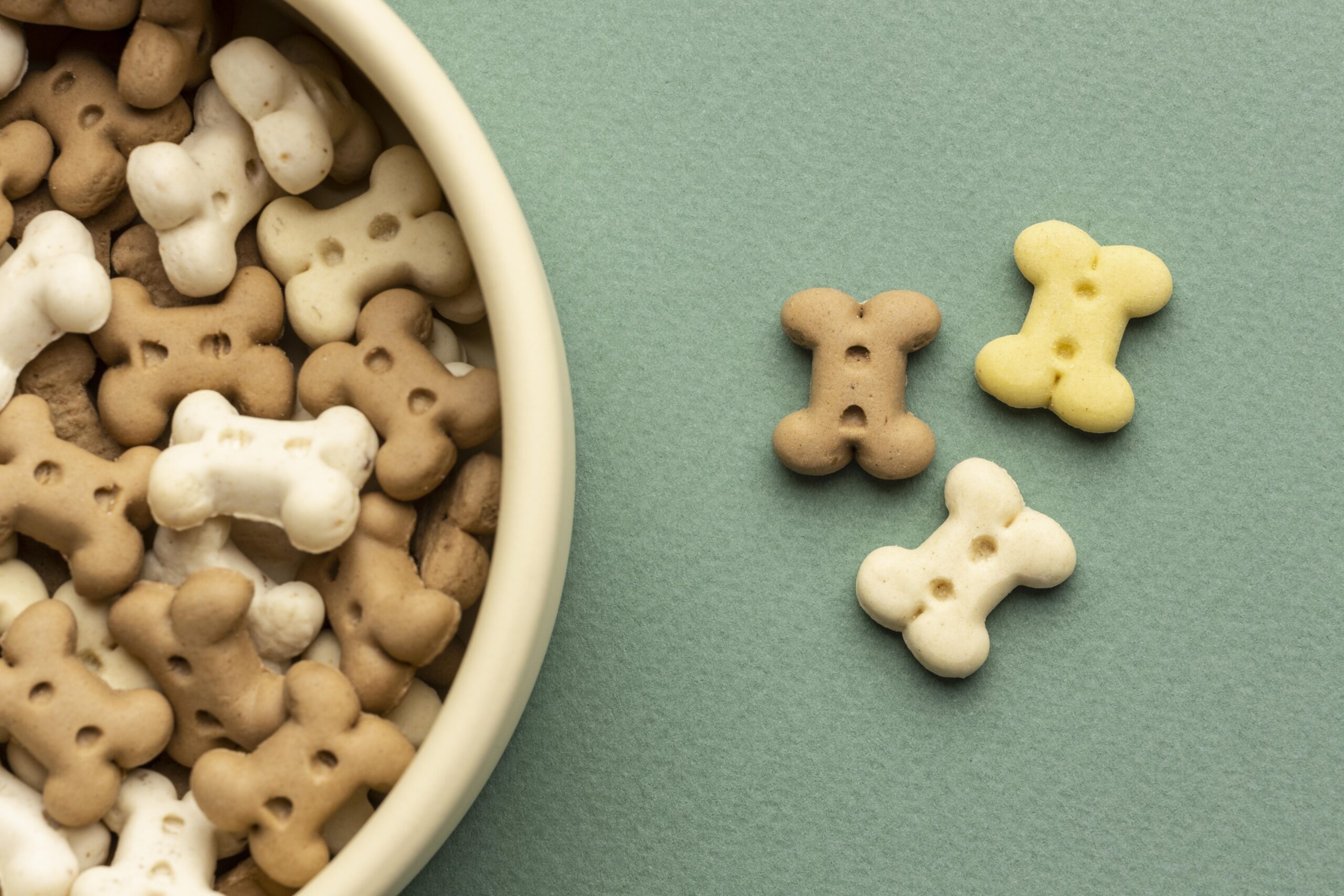 medicamentos criativos para pets drogavet
